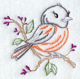 Baltimore Oriole (Vintage)