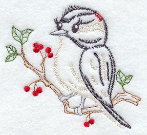 Downy Woodpecker (Vintage)