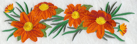 Mexican Flower Border