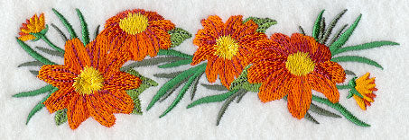 Mexican Flower Border