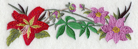 Guatemalan Flower Border