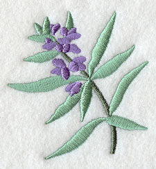 Island Paradise Lavender