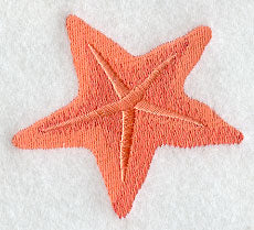 Island Paradise Starfish
