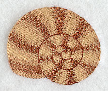 Island Paradise Seashell 3