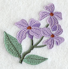 Island Paradise Violets