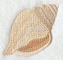 Island Paradise Seashell 4