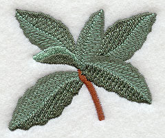 Island Paradise Mint