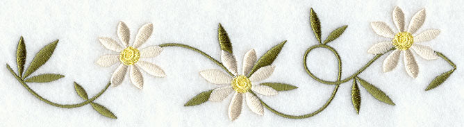 Daisy Border