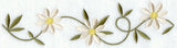 Daisy Border