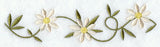 Daisy Border