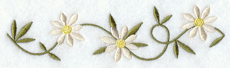 Daisy Border
