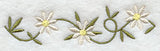 Daisy Border