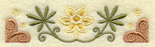 Daffodil Border