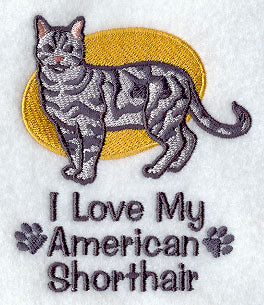 I Love My American Shorthair