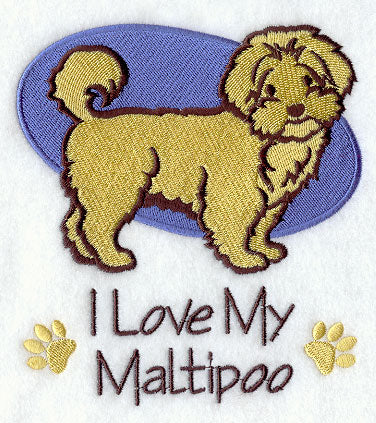 I Love My Maltipoo