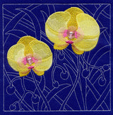 Phalaenopsis Orchid Sashiko Square