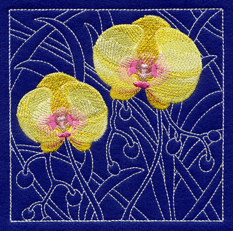 Phalaenopsis Orchid Sashiko Square