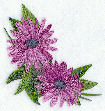 Definitely Daisies Corner