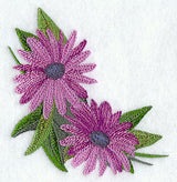 Definitely Daisies Corner