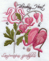 Bleeding Heart Botanical