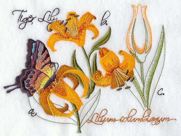 Tiger Lily Botanical