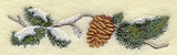 Pine Bough and Cone Border