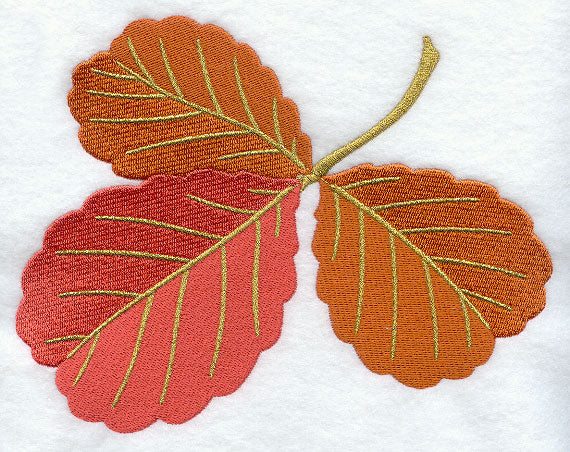 Alder Leaf Trio