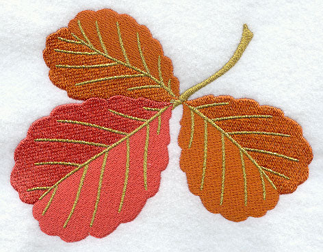 Alder Leaf Trio