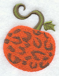 Wild Pumpkin (Snow Leopard)