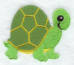 Baby Turtle