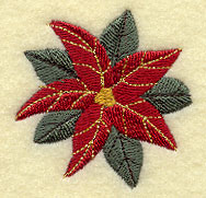 Sparkling Poinsettia