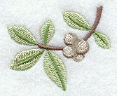 Gift Tag - Mistletoe Accent