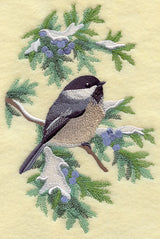 Chickadee in Juniper Boughs and Berries