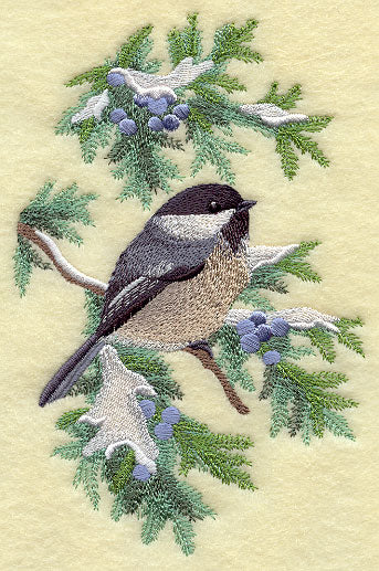 Chickadee in Juniper Boughs and Berries
