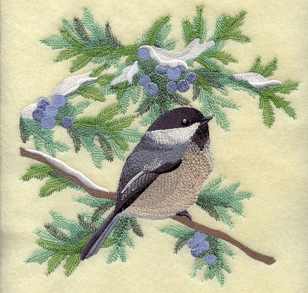 Chickadee in Juniper Boughs and Berries Square