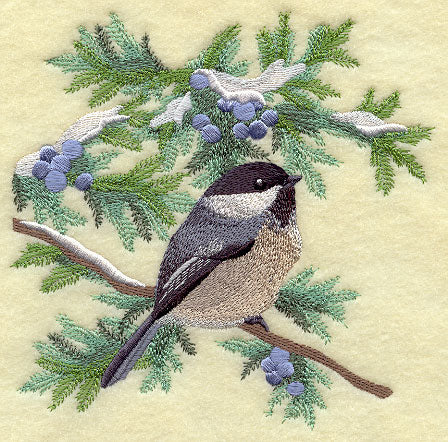 Chickadee in Juniper Boughs and Berries Square