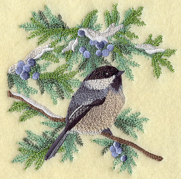 Chickadee in Juniper Boughs and Berries Square