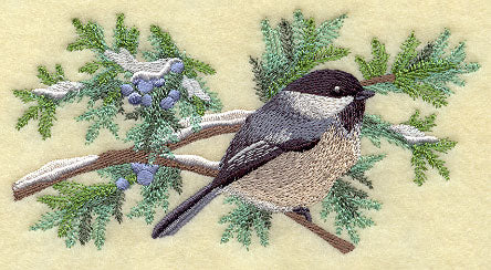Chickadee in Juniper Boughs and Berries Border