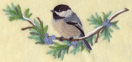 Chickadee in Juniper Boughs and Berries Spray