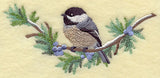 Chickadee in Juniper Boughs and Berries Spray