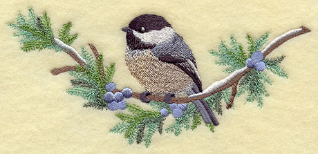 Chickadee in Juniper Boughs and Berries Spray