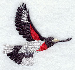 Flying Grosbeak