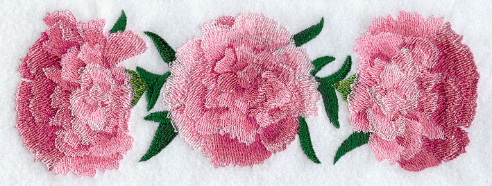 Carnation Border