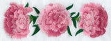 Carnation Border