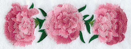 Carnation Border