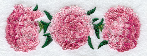 Carnation Border