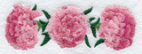 Carnation Border