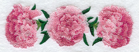 Carnation Border