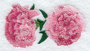 Carnation Border