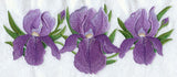 Iris Border